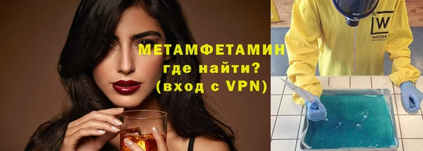 молекула духа Вяземский