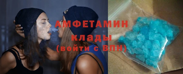 молекула духа Вяземский