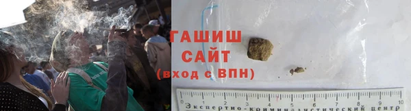 молекула духа Вяземский