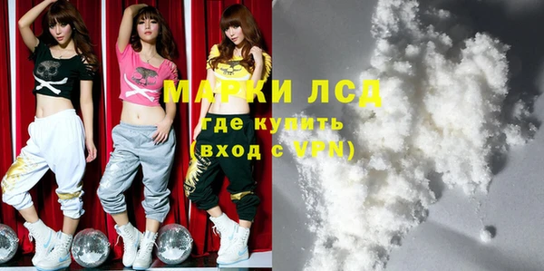 молекула духа Вяземский
