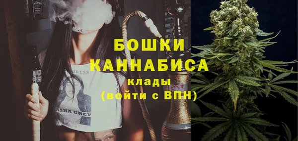 PSILOCYBIN Вязьма