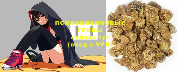 стафф Горняк